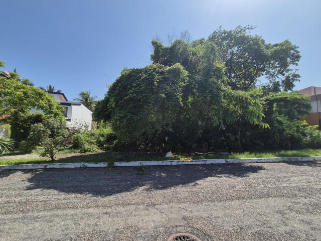Terreno en Venta en Paseo de los Viveros en Ixtapa, rodeado de naturaleza