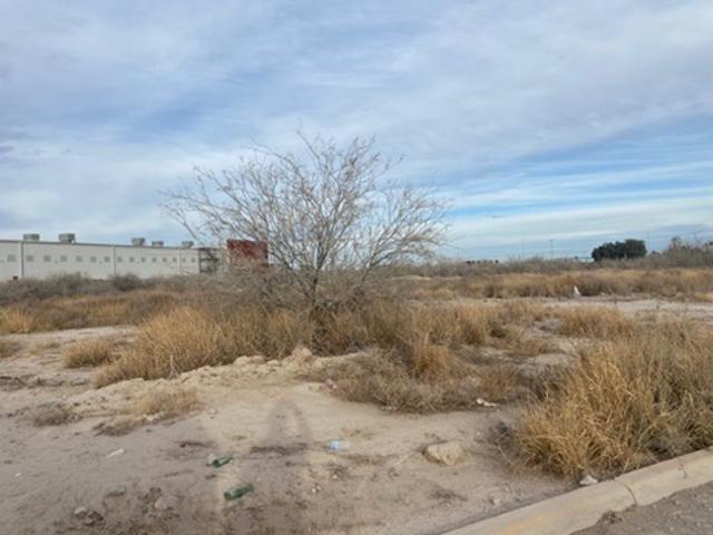 Terreno en venta en Parque Industrial Ferropuerto, Torreón, Coahuila de Zaragoza