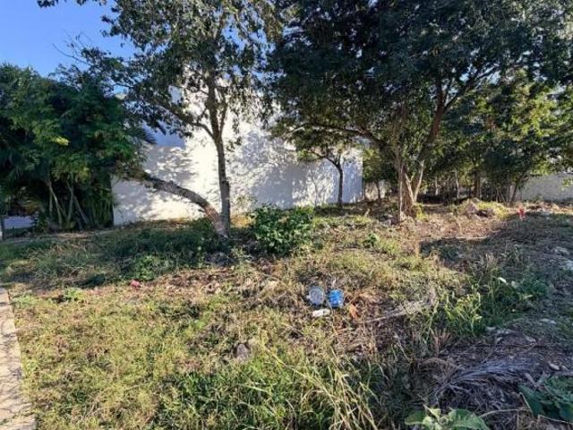 Terreno en venta en Parque Natura en Cholul, Mérida Yucatán. 4