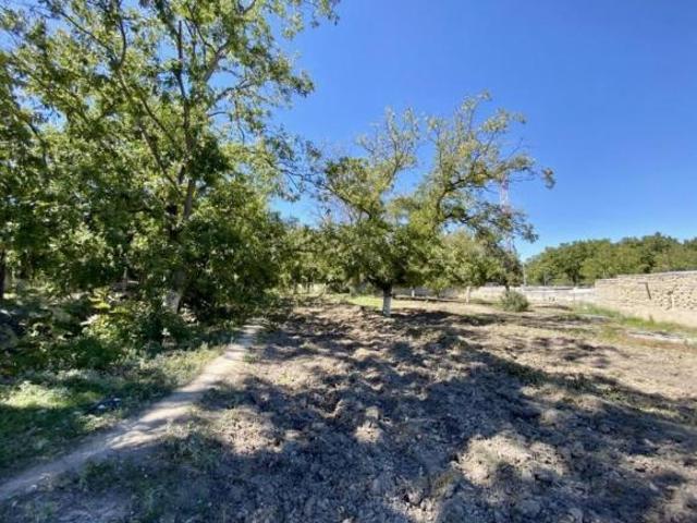 Terreno en Venta en Parras de la Fuente Centro, Parras, Coahuila de Zaragoza
