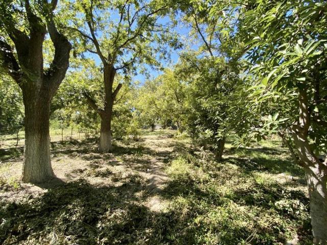 Terreno en venta en Parras de la Fuente Centro, Parras, Coahuila de Zaragoza