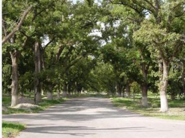 Terreno en Venta en Parras, Parras, Coahuila de Zaragoza