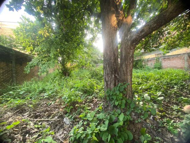 Terreno en venta en Penipak, Tuxtla Gutiérrez, Chiapas