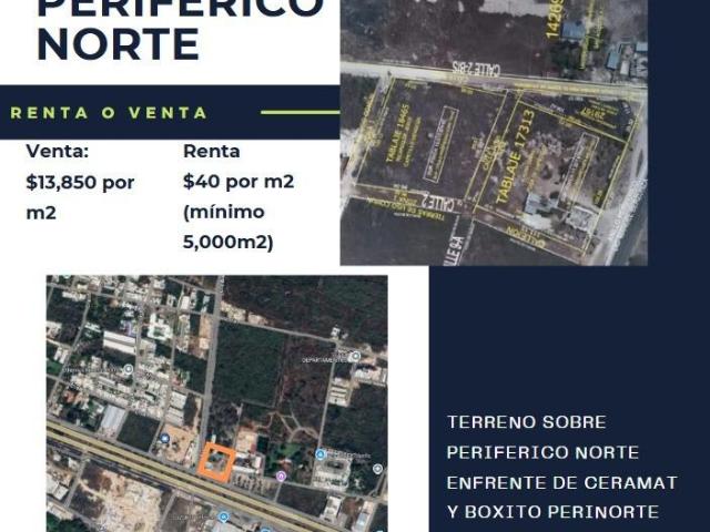 Terreno en Venta en Perif?rico Norte, Santa Gertrudis Cop?, M?rida Yucat?n