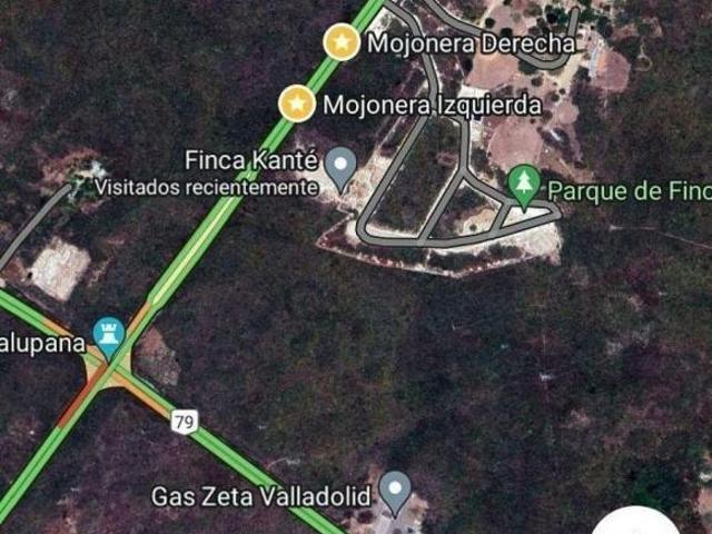 TERRENO EN VENTA EN PERIFERICO NORTE EN VALLADOLID, YUCATAN