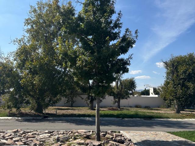Terreno en venta en Peña Alta, Saltillo, Coahuila de Zaragoza