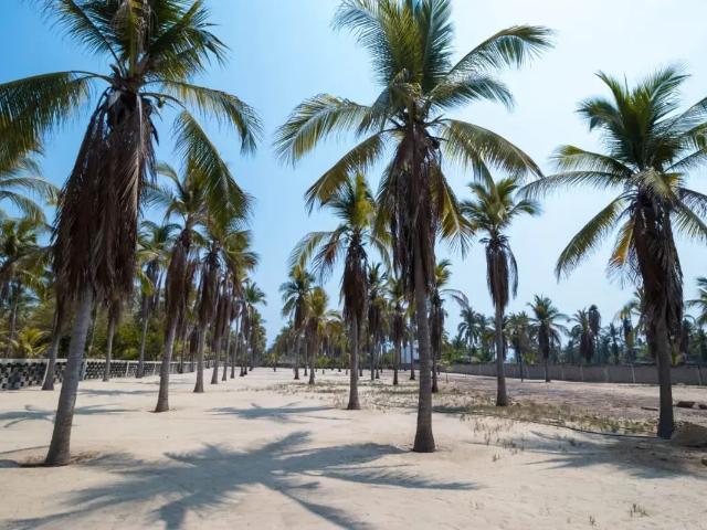 Terreno en venta en Pie de la Cuesta, Acapulco de Juárez, Guerrero