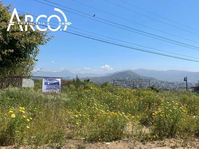 TERRENO EN VENTA EN PIEDRAS NEGRAS/LAND FOR SALE