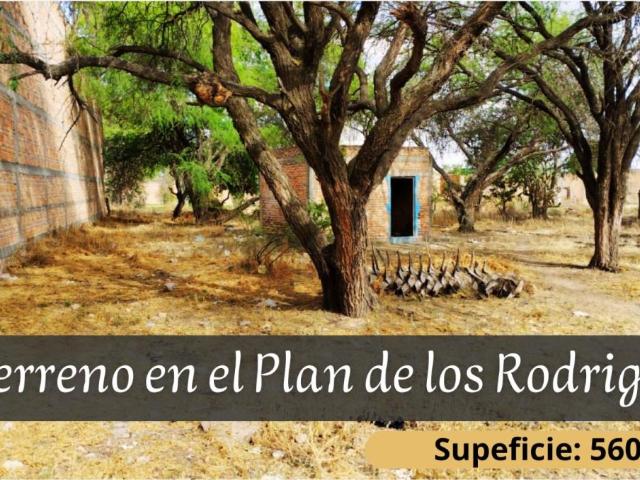 Terreno en venta en Plan de los Rodríguez, Lagos de Moreno, Jalisco