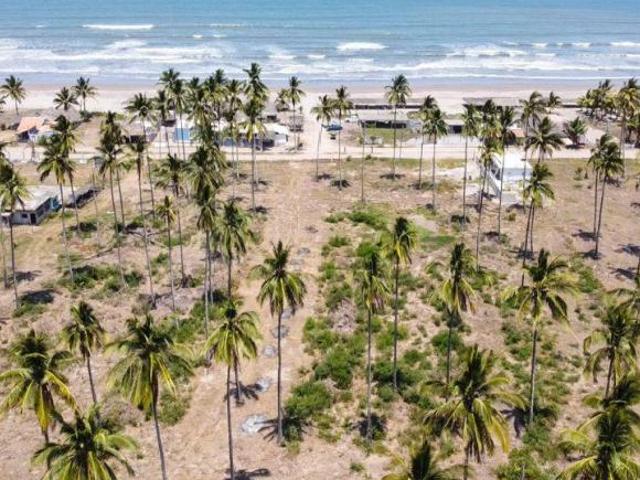TERRENO EN VENTA EN PLAYA NOVILLERO, TECUALA, NAYARIT