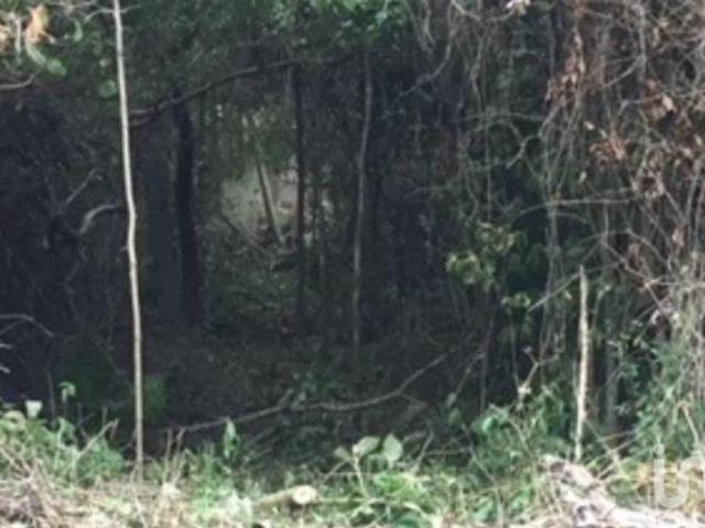Terreno en Venta en Playa del Carmen