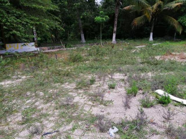Terreno en venta en Playa del Carmen a pie de carretera federal Playa del Carmen Cancún