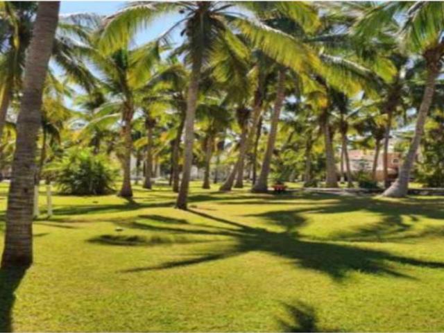 Terreno en venta en Playa Diamante, Acapulco de Juárez, Guerrero