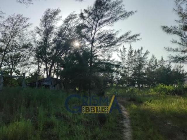 TERRENO EN VENTA EN PLAYA GALINDO TUXPAN