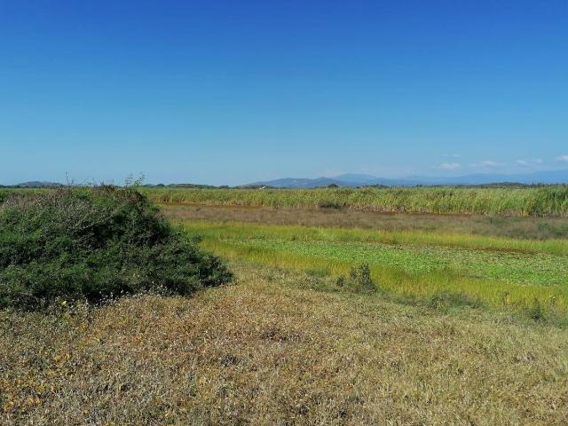 Terreno en Venta en Playa Ventura
