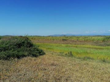 Terreno en Venta en Playa Ventura