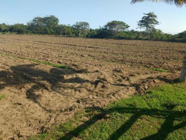 Terreno en venta en Playa Zapote, Alvarado, Ver