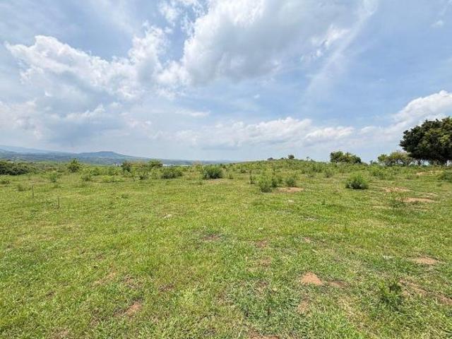 TERRENO EN VENTA EN POTRERO SANTIAGO, YAUTEPEC MORELOS