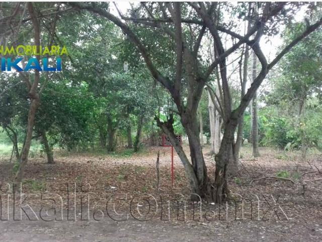 Terreno en venta en Primavera, Poza Rica de Hidalgo, Veracruz de Ignacio de la Llave