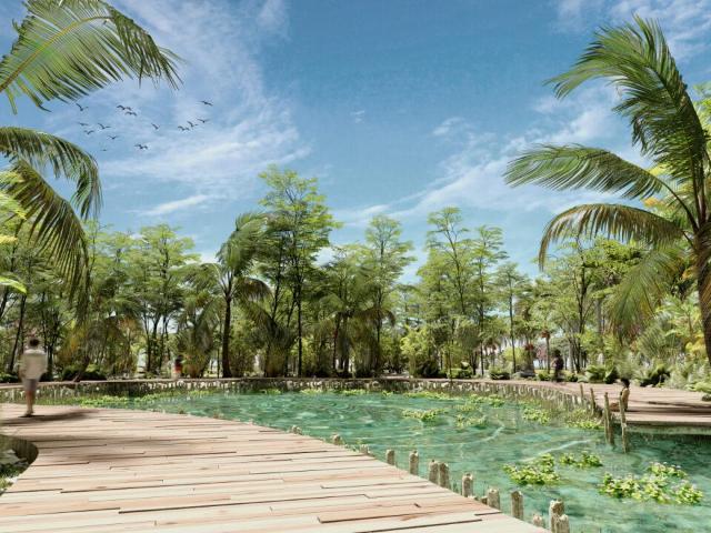 Terreno en Venta en Progreso,Yucatan MA 24 104