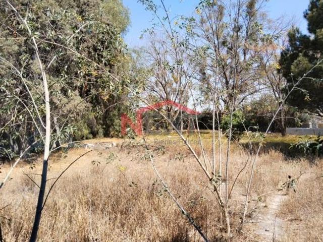 Terreno en venta en Ramos Arizpe