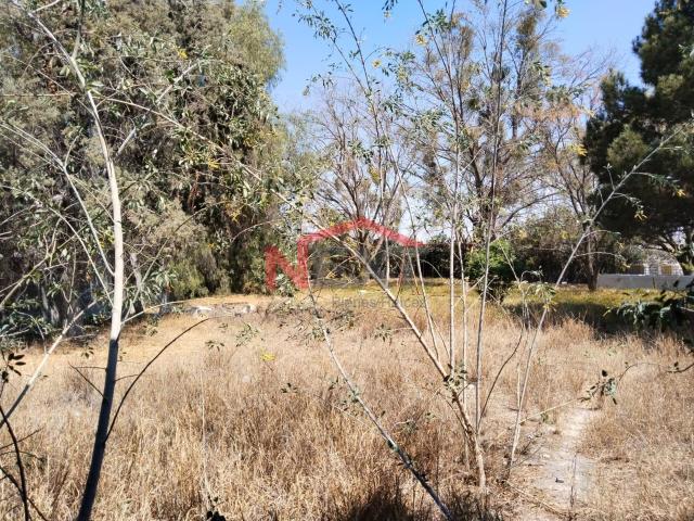 Terreno en venta en Ramos Arizpe