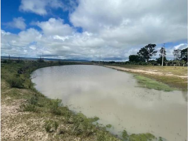 Terreno en venta en Rancho Barranca de Loma Alta, San Felipe, Guanajuato