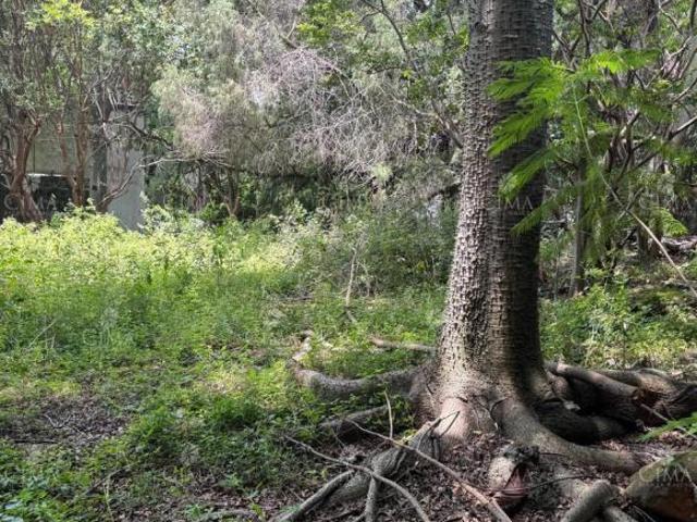 Terreno En Venta En Rancho Cortés T82