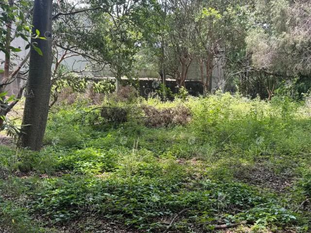 Terreno En Venta En Rancho Cortés T82