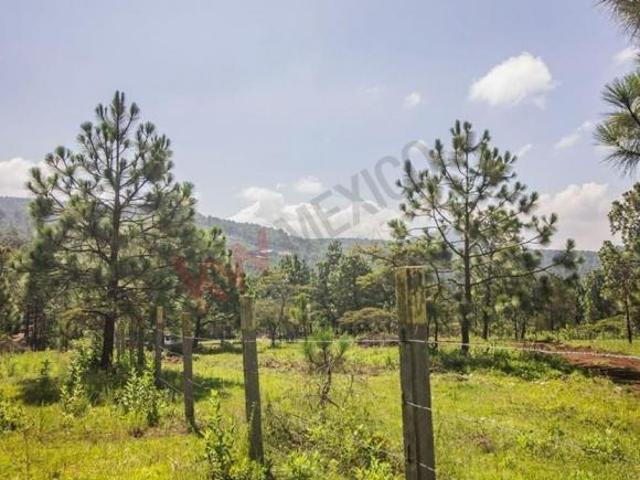 Terreno en venta en Real de Encinos, Tapalpa, Jalisco