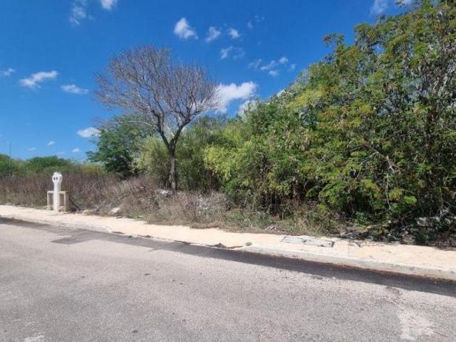 Terreno en venta en Real Montejo, Mérida – 455.15 m2