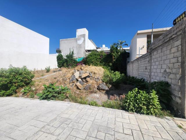 Terreno En Venta En Reforma, Zona Dorada Cuernavaca Morelos