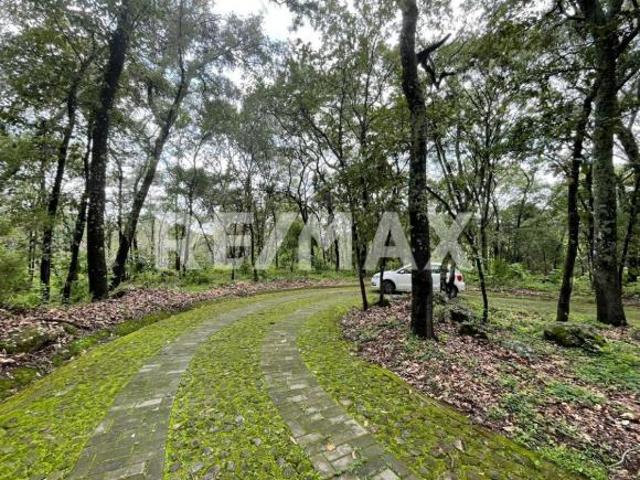 Terreno en venta en Reserva de los Encinos 4