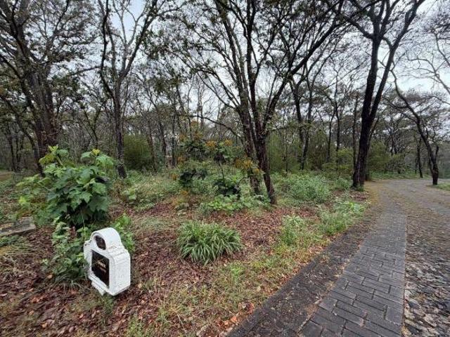 TERRENO EN VENTA EN RESERVA LOS ENCINOS