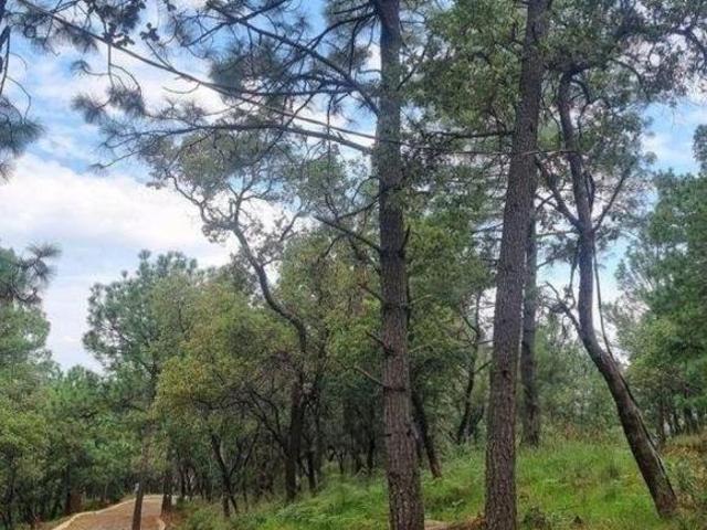 Terreno en venta en Residencial el Tigre, Mazamitla, Jalisco