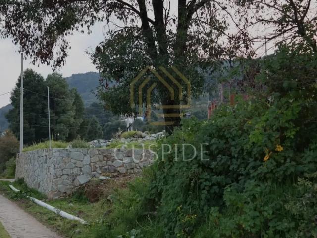 Terreno en VENTA en Rincón Chico, Velasco, Omitlán
