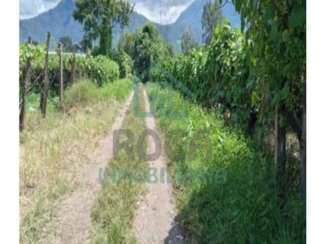 Terreno en venta en Rincon Grande, Orizaba, Veracruz de Ignacio de la Llave