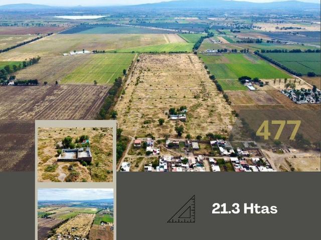 TERRENO EN VENTA EN ROMITA,GTO