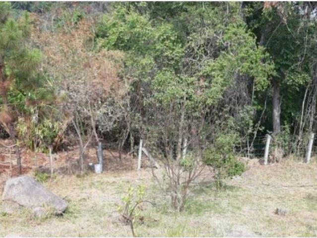 Terreno en venta en Suchitlan, Comala, Colima