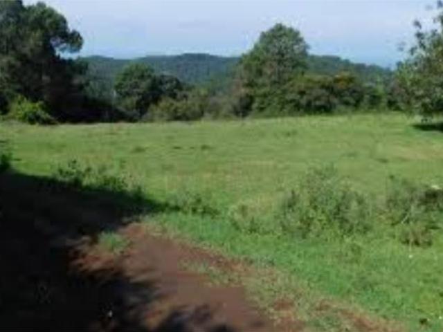 Terreno en venta en Suchitlan, Comala, Colima