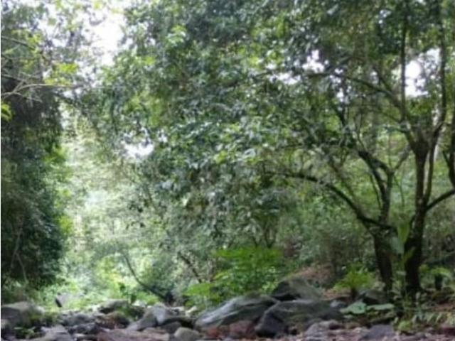 Terreno en venta en Suchitlan, Comala, Colima