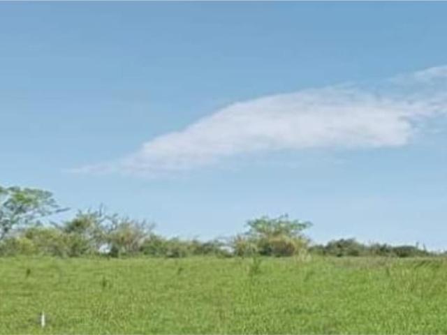 Terreno en venta en Suchitlan, Comala, Colima