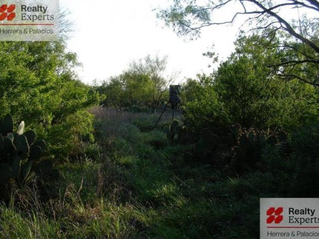 TERRENO EN VENTA EN SABINAS HIDALGO, NUEVO LEON SOBRE CARRETERA LIBRE MONTERREY NUEVO LAREDO