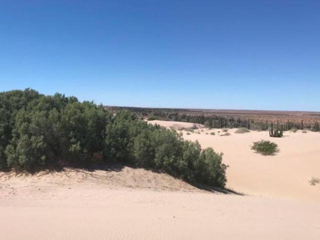 Terreno en venta en Sahuimaro, Hermosillo