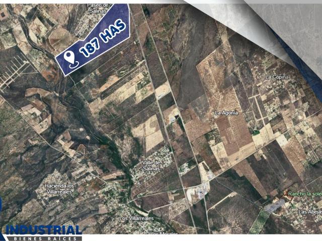 TERRENO EN VENTA EN SALINAS NL