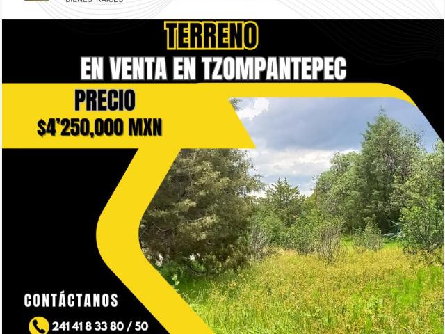 Terreno en venta en San Andres Ahuashuatepec, Tzompantepec, Tlaxcala