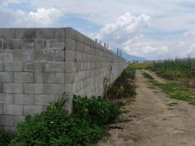 TERRENO EN VENTA EN SAN ANDRES OCOTLAN CALIMAYA