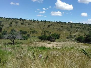 Terreno en venta en San Antonio, Atltzayanca, Tlaxcala