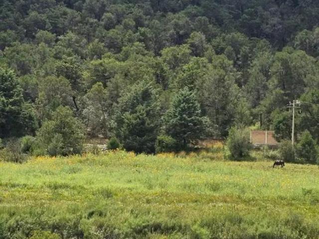TERRENO EN VENTA EN SAN ANTONIO DE LAS ALAZANAS