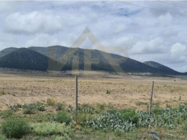 Terreno en venta en San Antonio de las Alazanas, Arteaga, Coahuila de Zaragoza